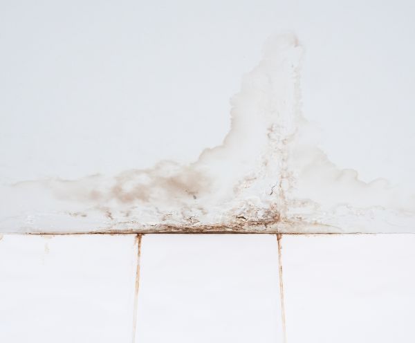 Toilet Water Damage Repair