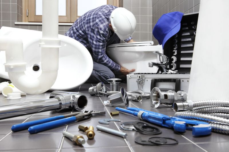 Toilet Installation Service detail
